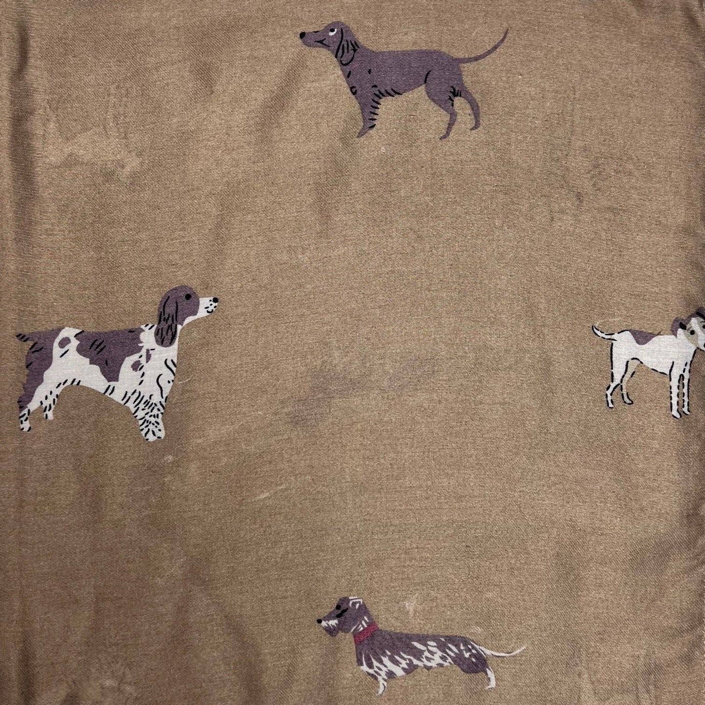 Lili Scarves - Dog Print Scarf: Mocca